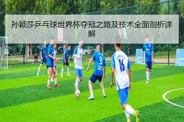 孙颖莎乒乓球世界杯夺冠之路及技术全面剖析详解 - LEYU
